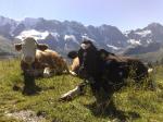 Za horským majestátem Jungfrau